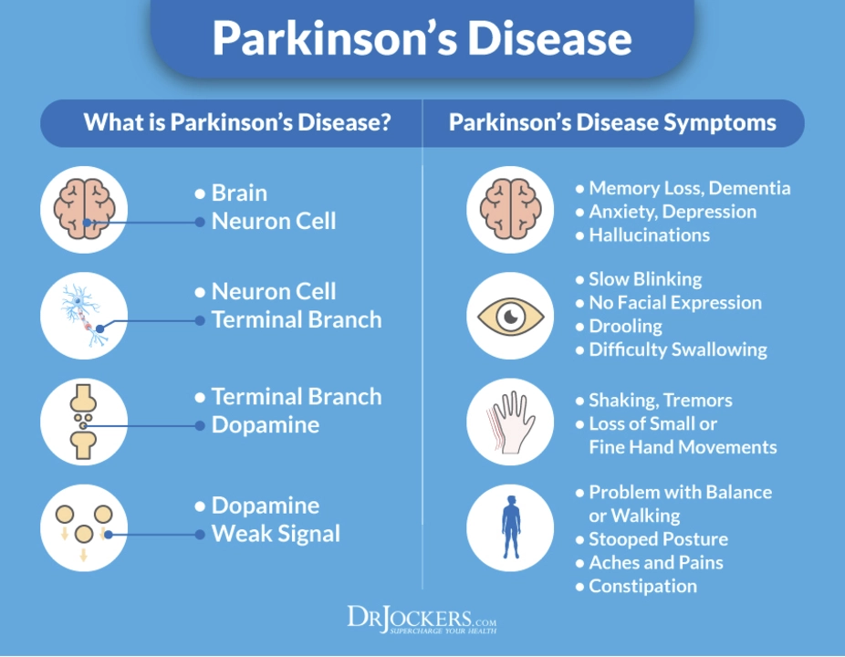 The Role of Rasagiline in Slowing Parkinson's Disease Progression