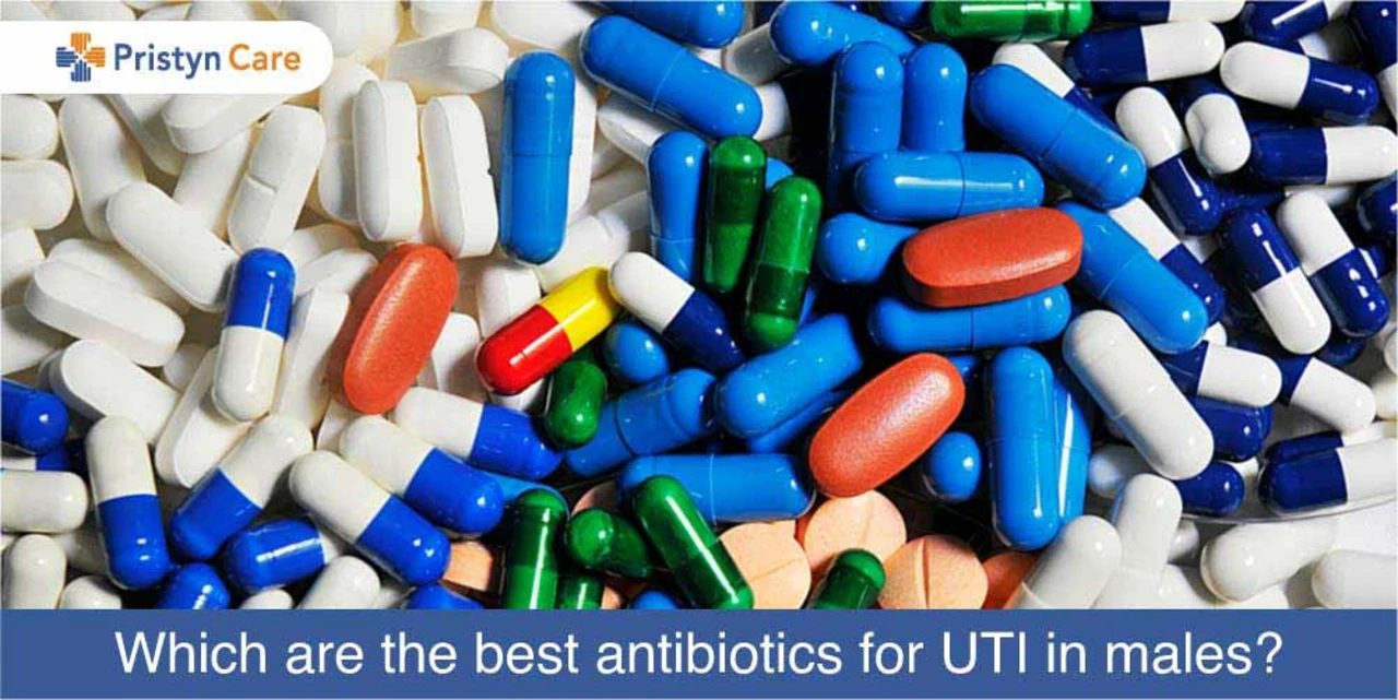 Tinidazole in the fight against antibiotic-resistant infections