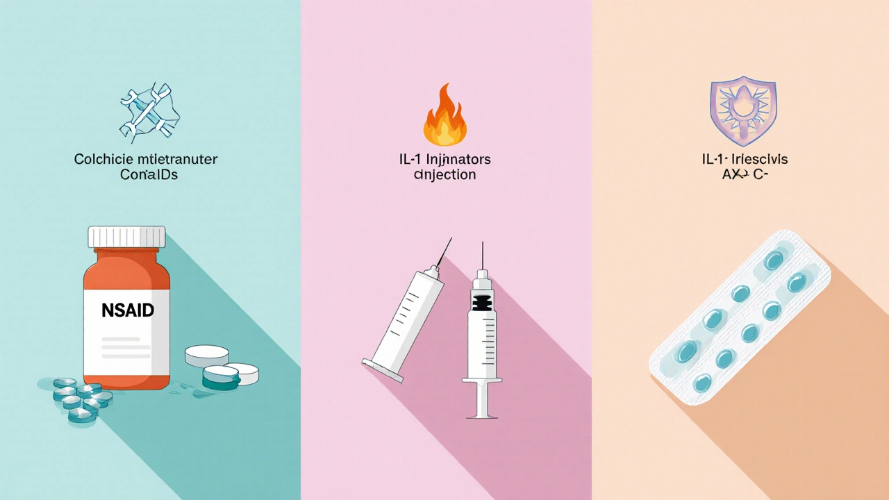 Split illustration showing NSAID tablets, IL‑1 inhibitor syringe, and allopurinol pills with mechanism icons.